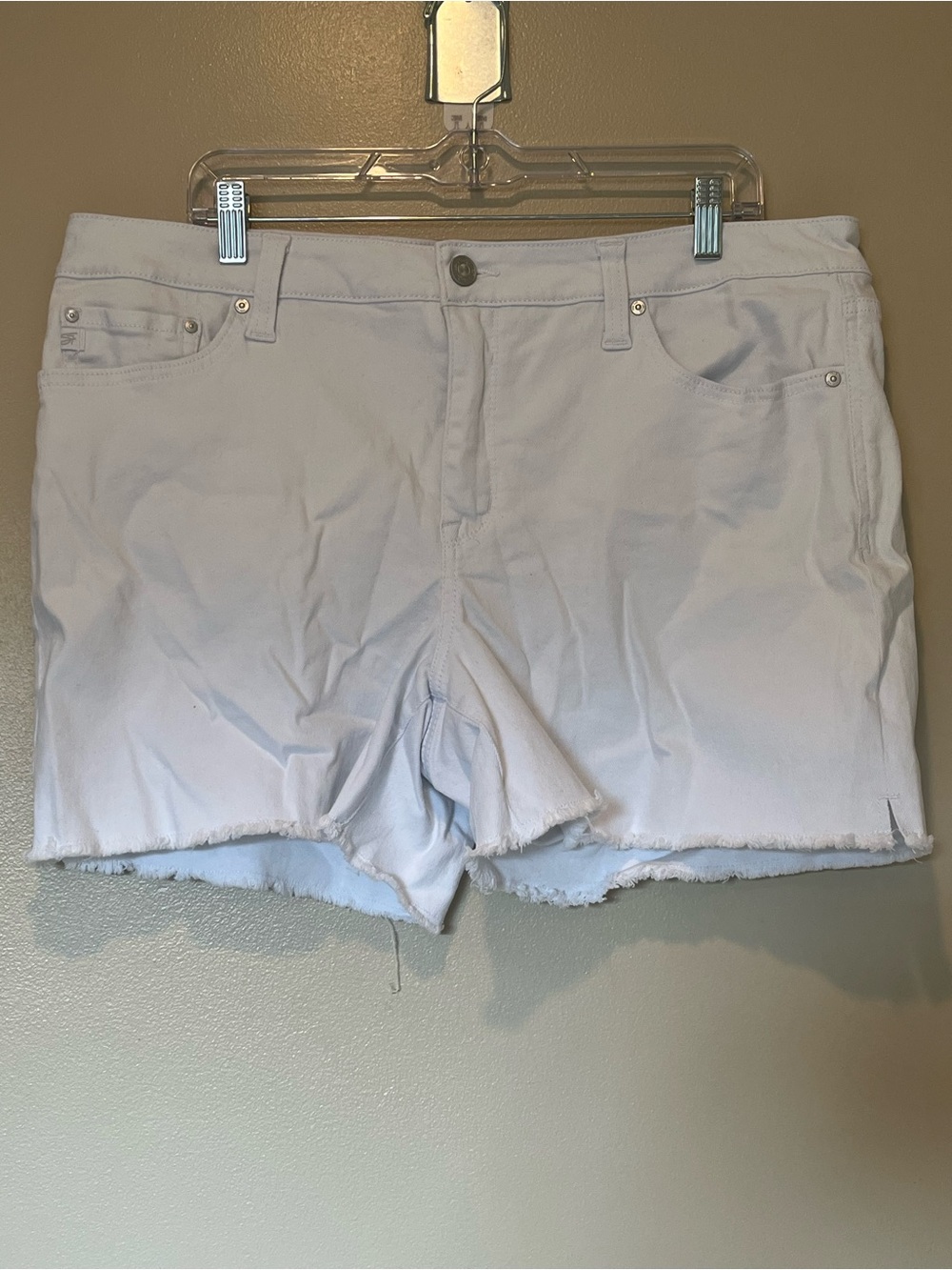 Seven7 Brand Denim Shorts with Frayed Hem